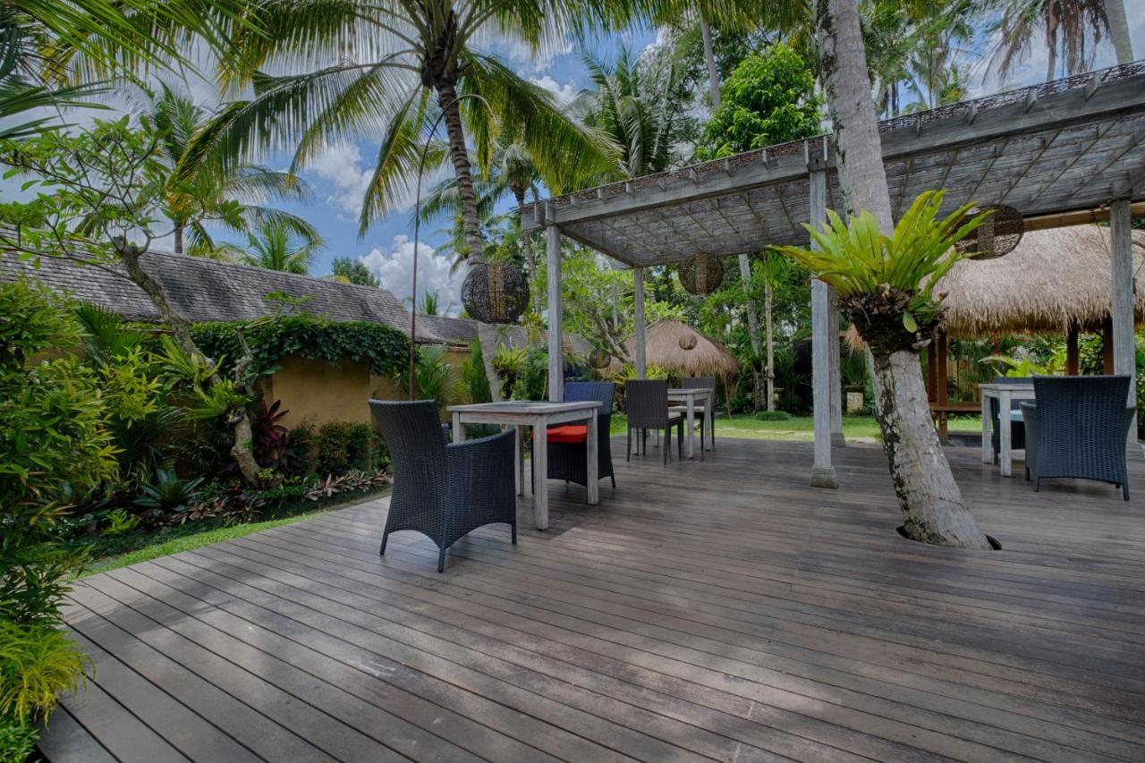 Padi Ubud