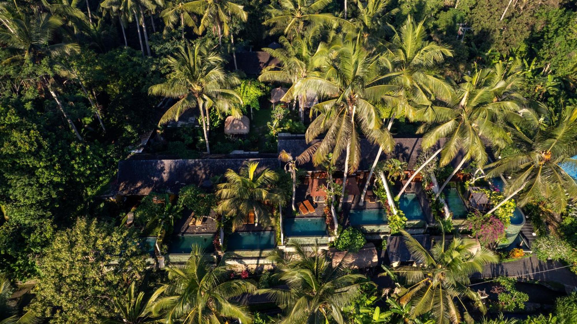 Padi * Ubud