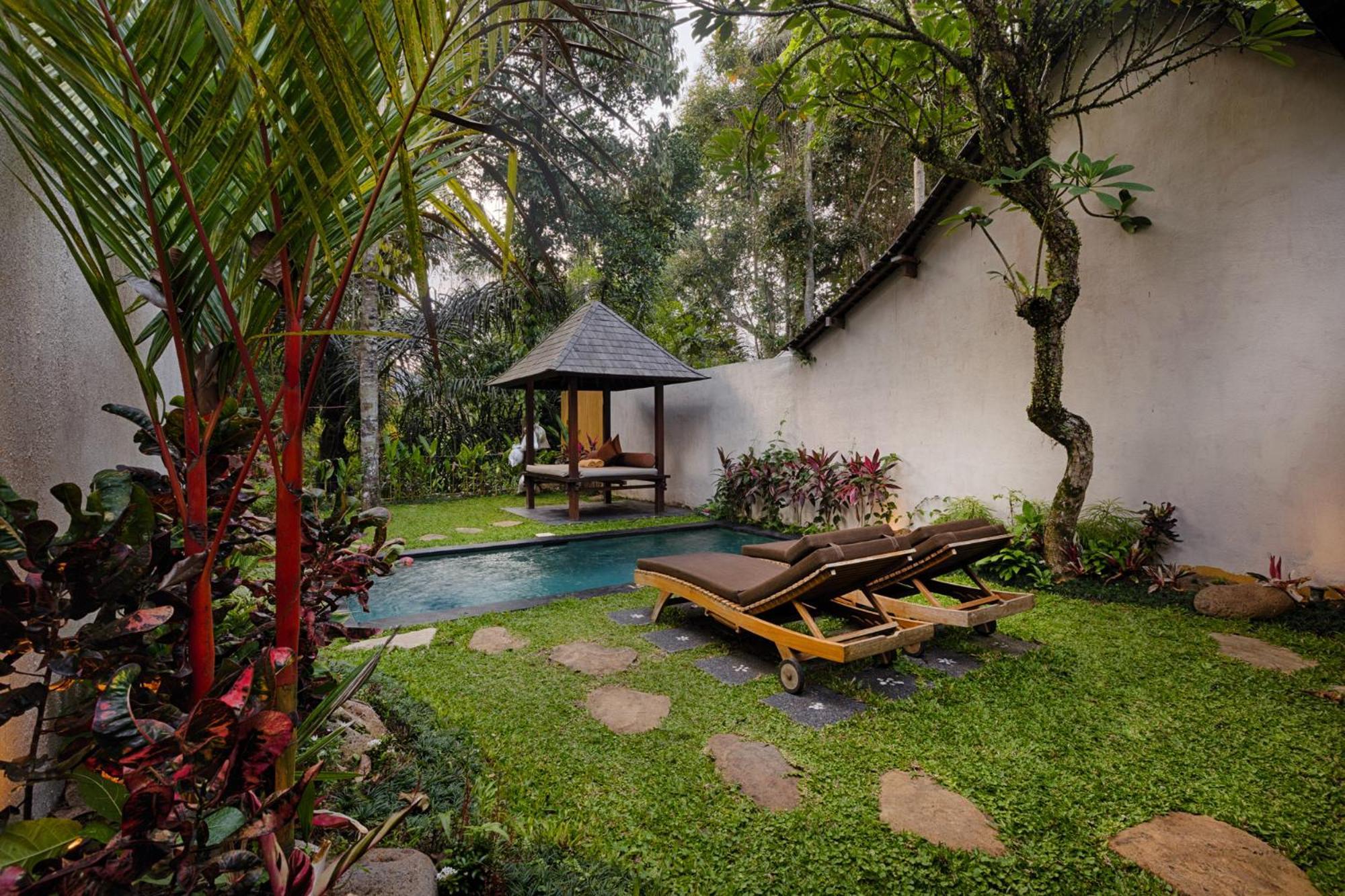 Padi Ubud