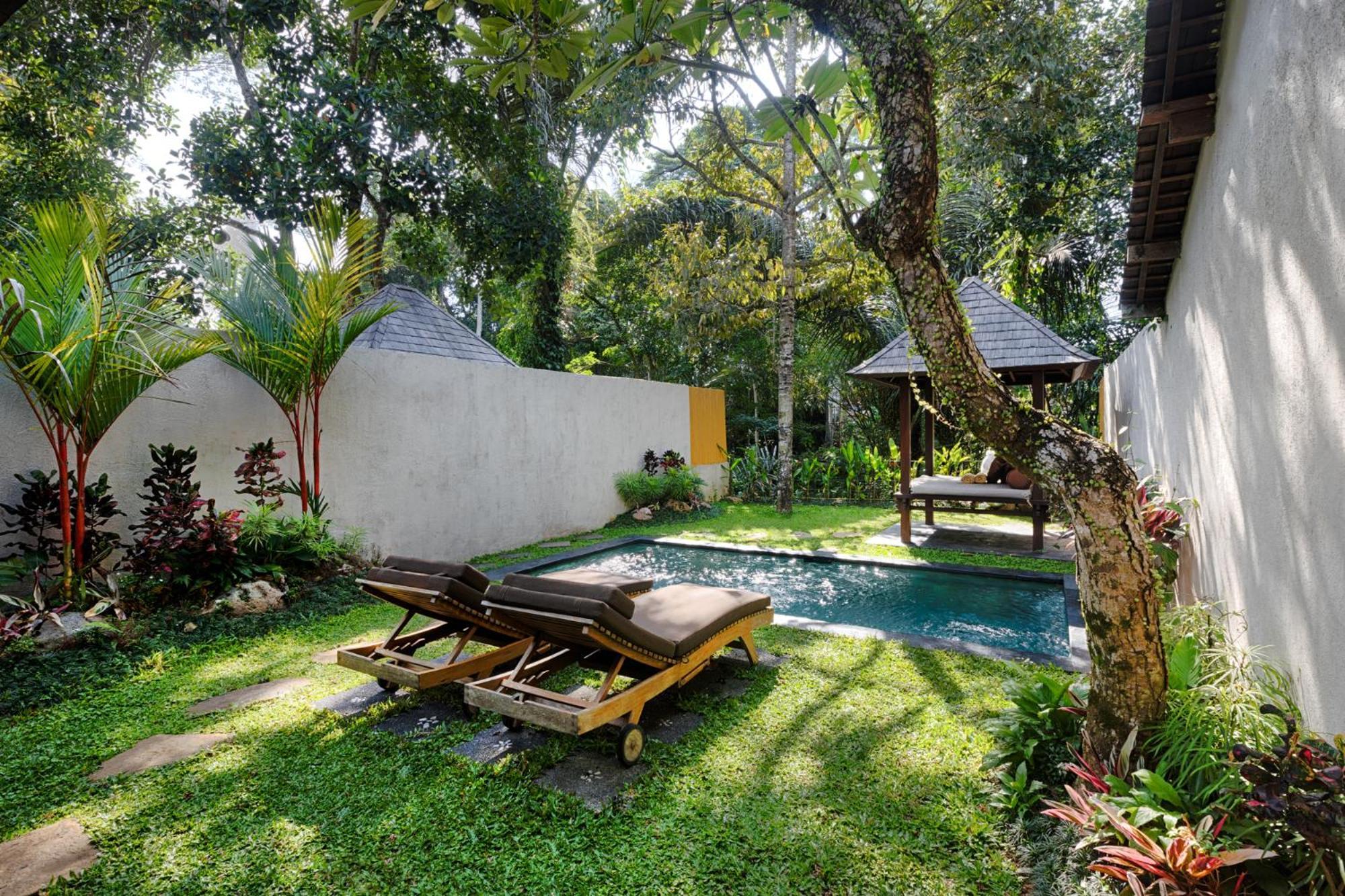 Padi * Ubud