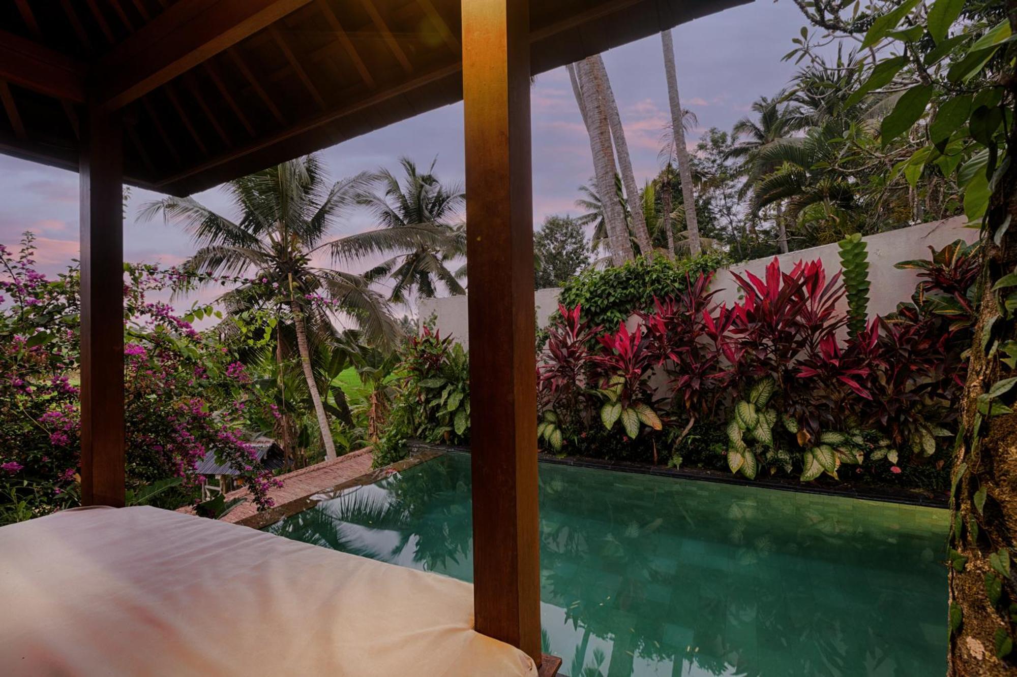 Padi Ubud